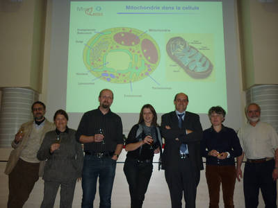 les 6 responsables des 6 équipes et Ivan, PI de MitoCross, apèrs nos talks, lors de la soirée inaugurale de MitoCross