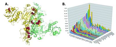 pathologic-related mutations of mt-AspRS (A.) and mRNA levels of 19 aaRSs in 20 different human tissues (B.)