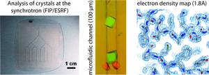 lab on schips : crystallization using microfluidic